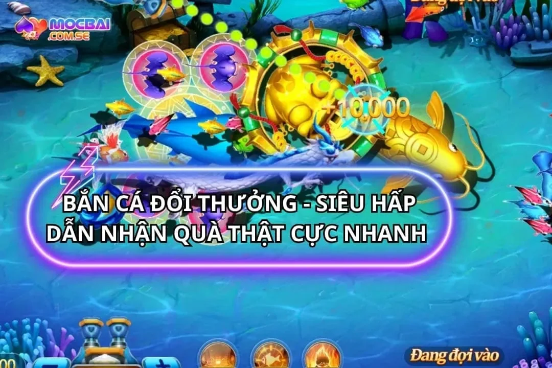 Bắn Cá Đổi Thưởng