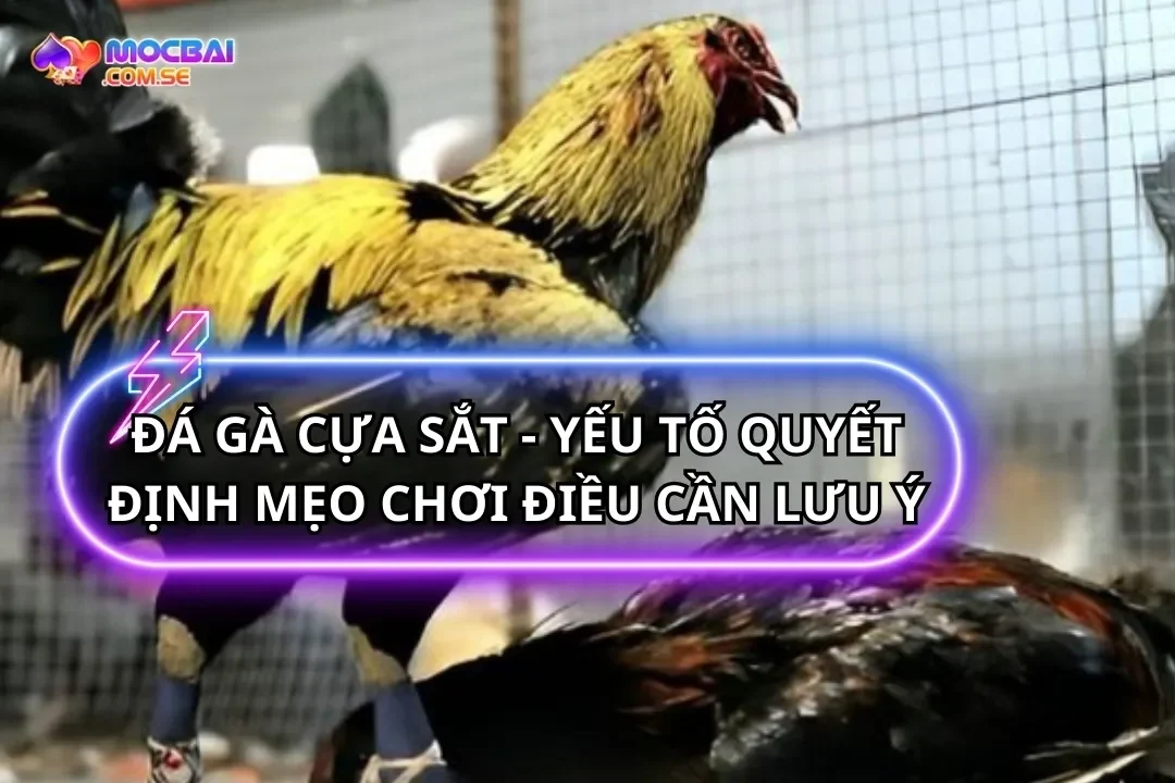 Đá Gà Cựa Sắt
