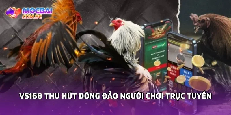 VS168 thu hút đông đảo người chơi trực tuyến