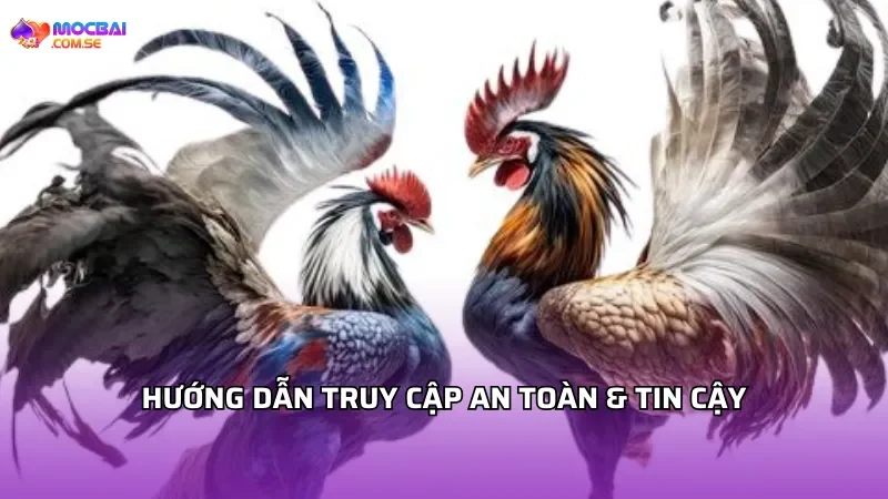 Hướng dẫn truy cập an toàn & tin cậy